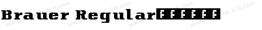 Brauer Regular字体转换